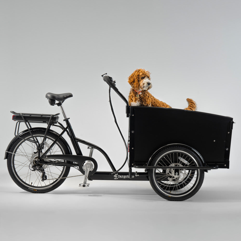 Cargobike Classic Dog