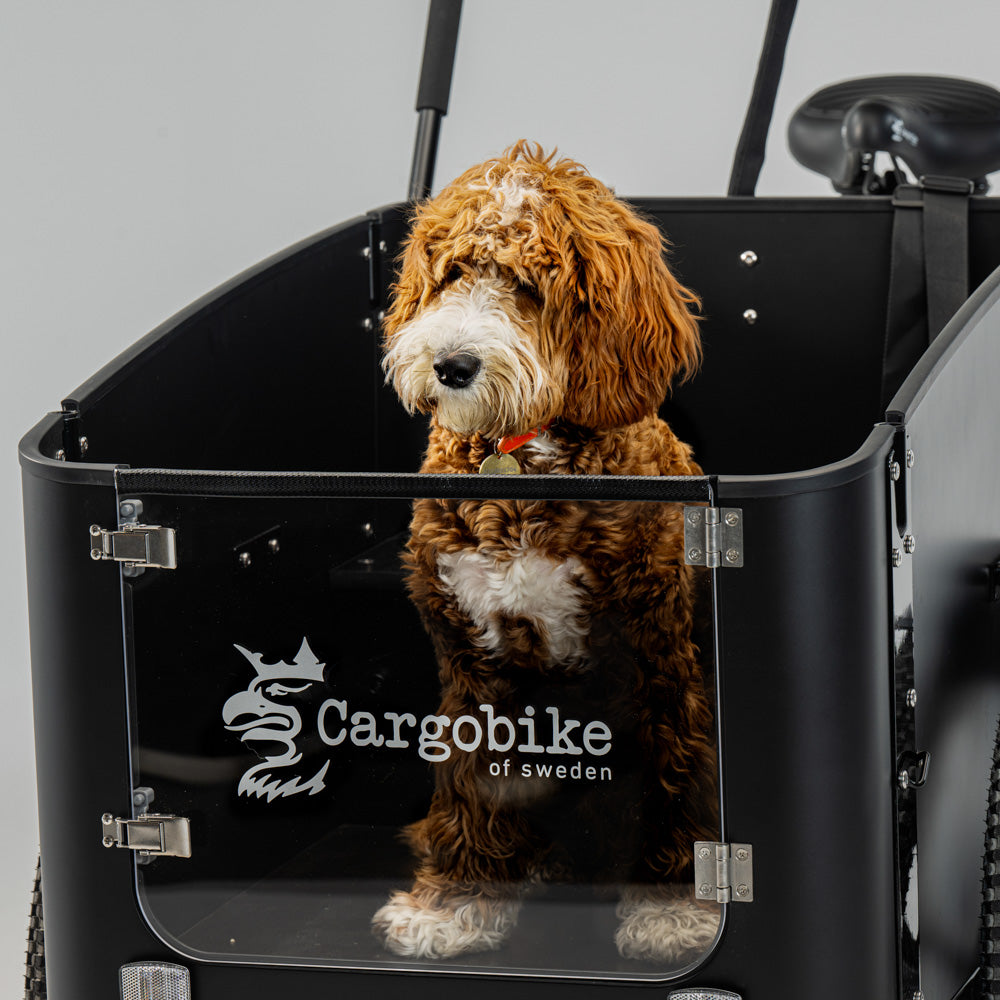 Cargobike Delight Dog