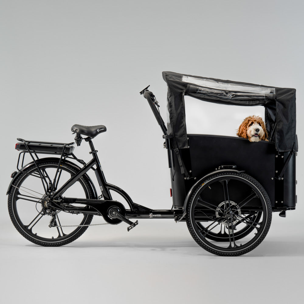 Cargobike Flex Dog