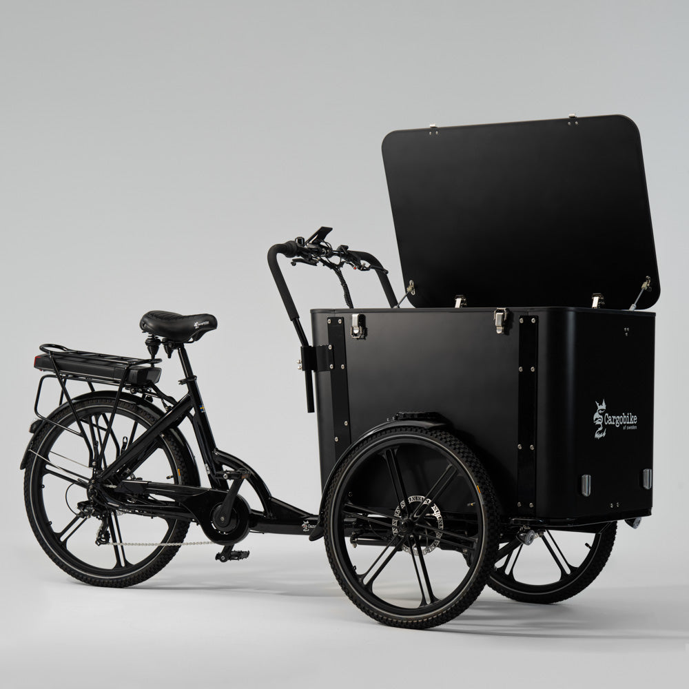 Cargobike Flex Box