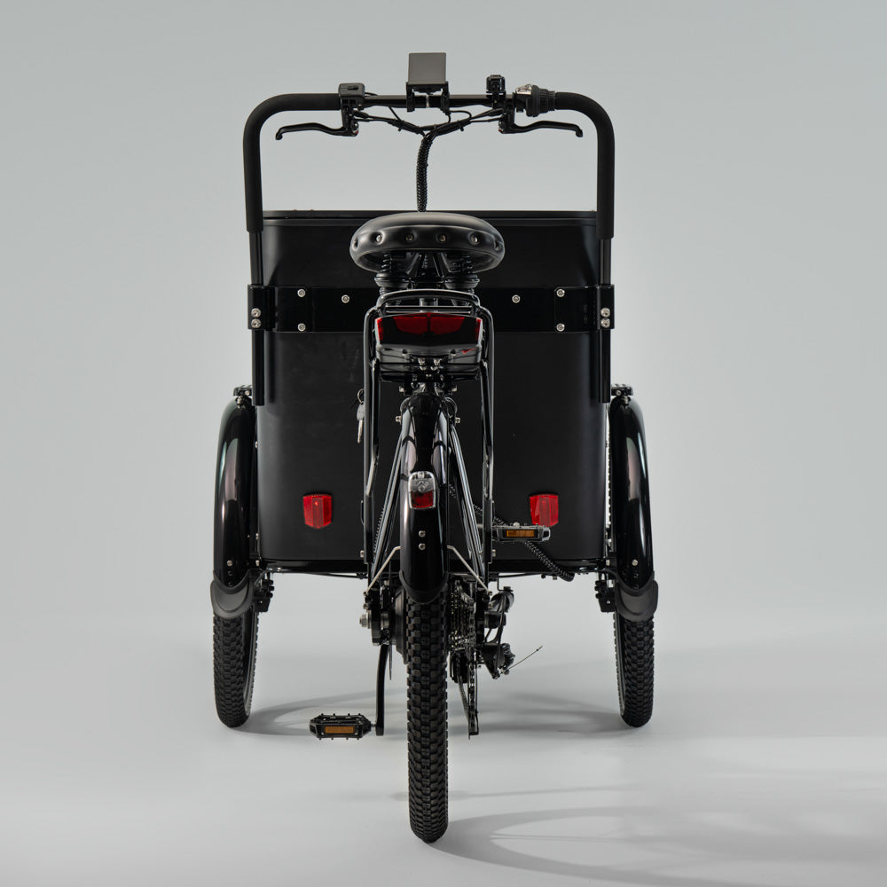 Cargobike Flex Box