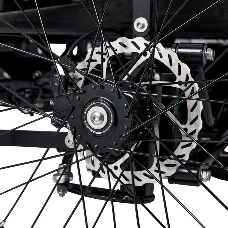 Elcykel Lådcykel EvoBike Cargo Free 480Wh inkl. dyna