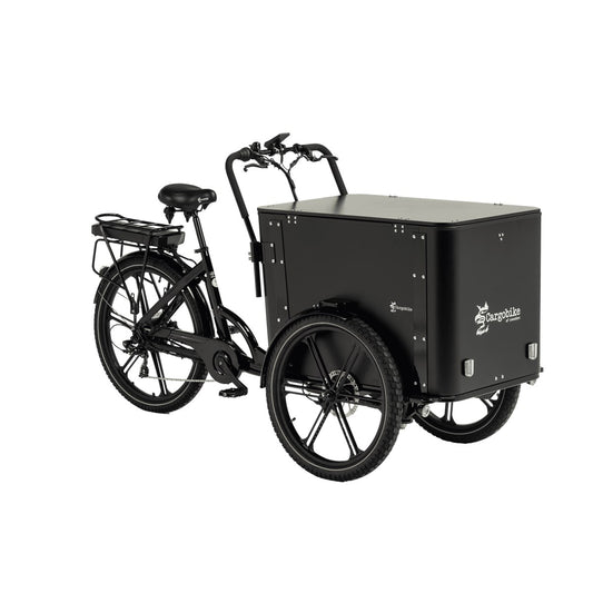Cargobike Flex Box