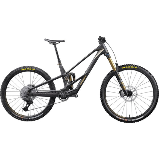 El MTB Orbea Rallon RS-LTD Mullet Fuel Carbon View/Magic Gold