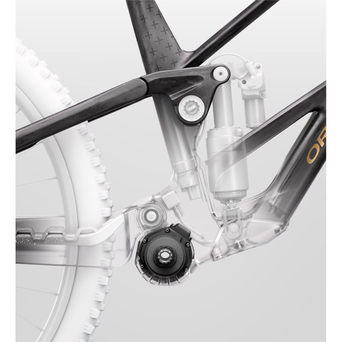 El MTB Orbea Rallon RS-Team Fuel Carbon View/Magic Gold