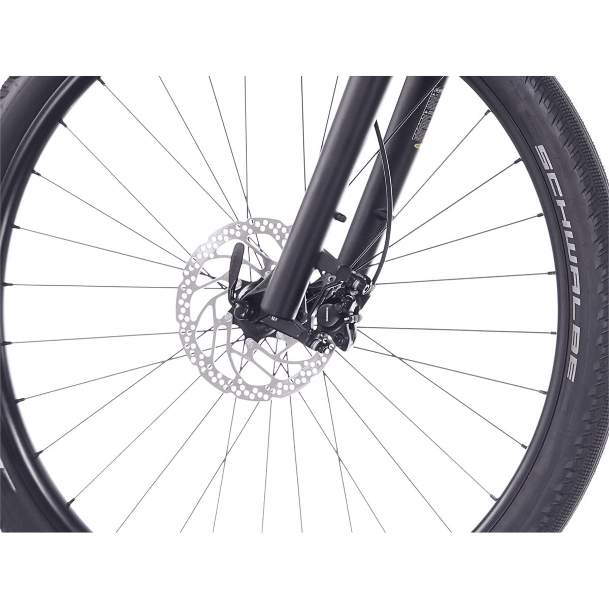 El MTB Superior eXP 6.4 STEPS Gloss Greige