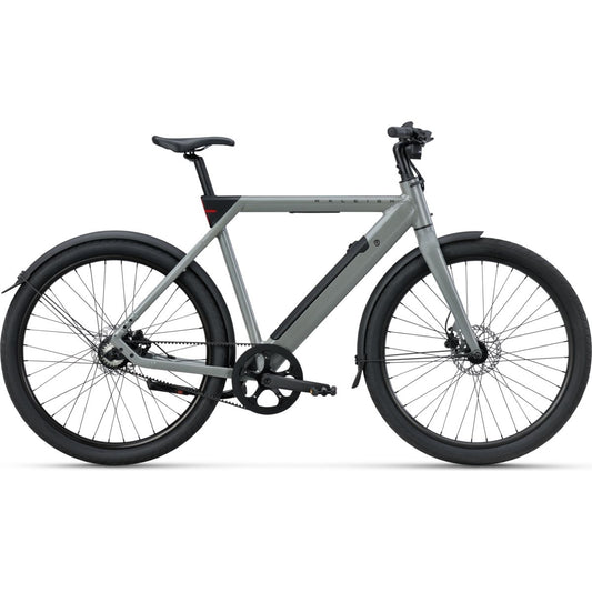 Elcykel Raleigh One Sage Grey