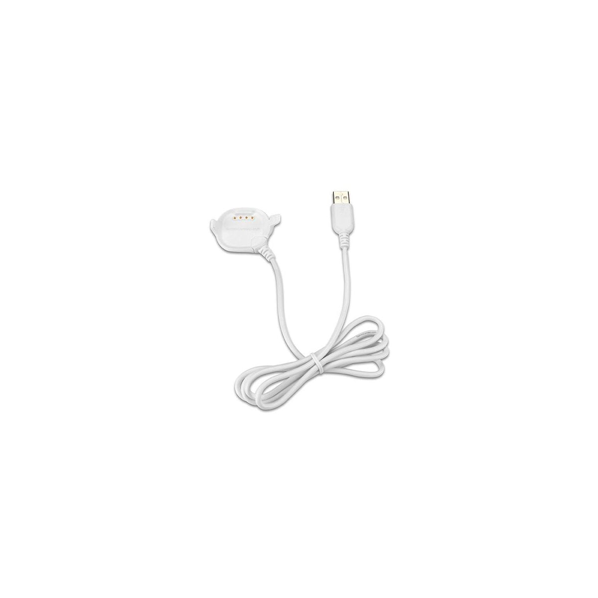 Garmin Laddare,Forerunner 10