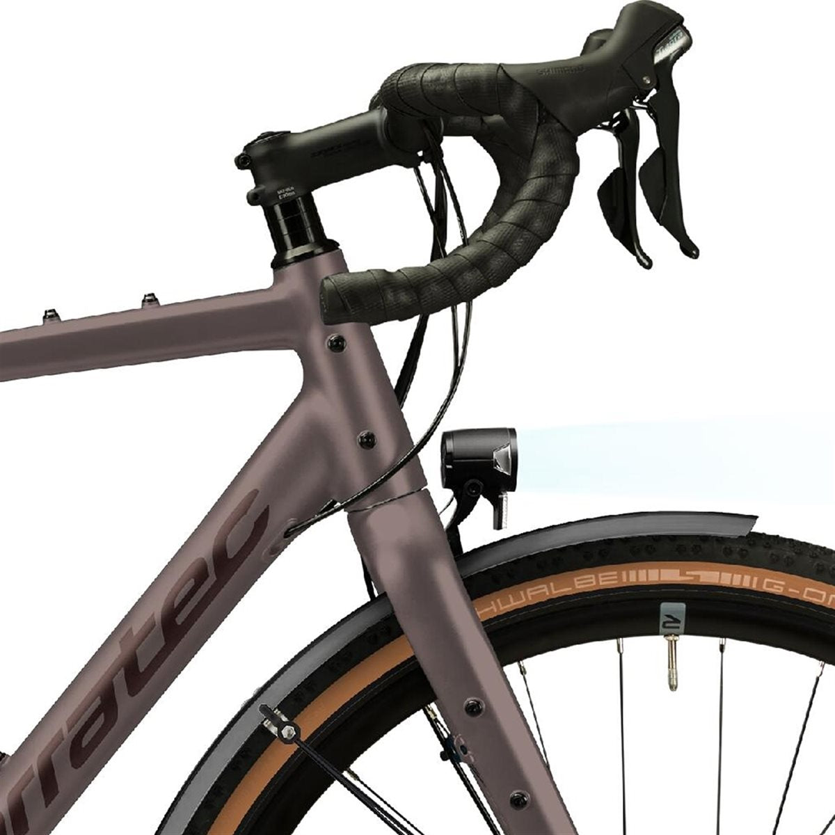 Gravel bike Corratec Allroad Travel EQ Bronze/Dark-Bronze