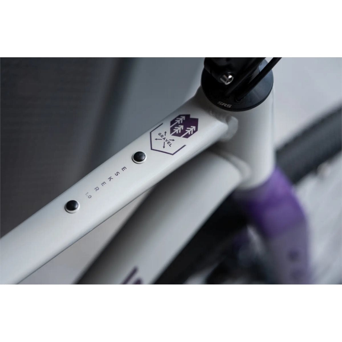 Gravel bike Kross Esker 1.0 FL Grey/Purple