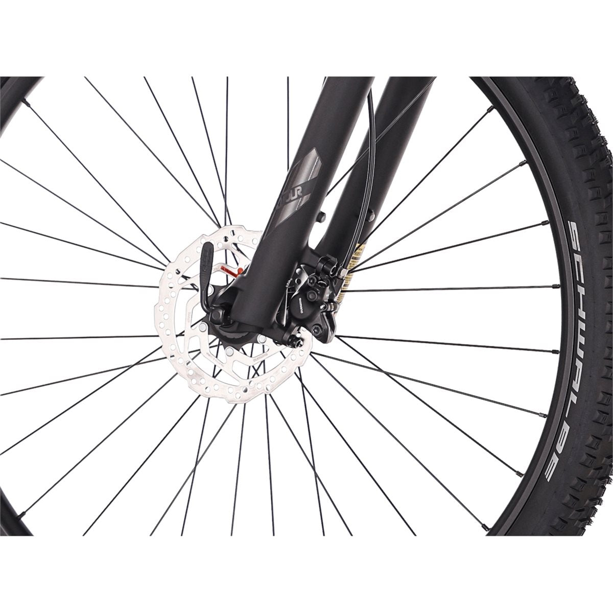 Hardtail MTB Superior XC 6.9 MS Matte Black/Bordeaux