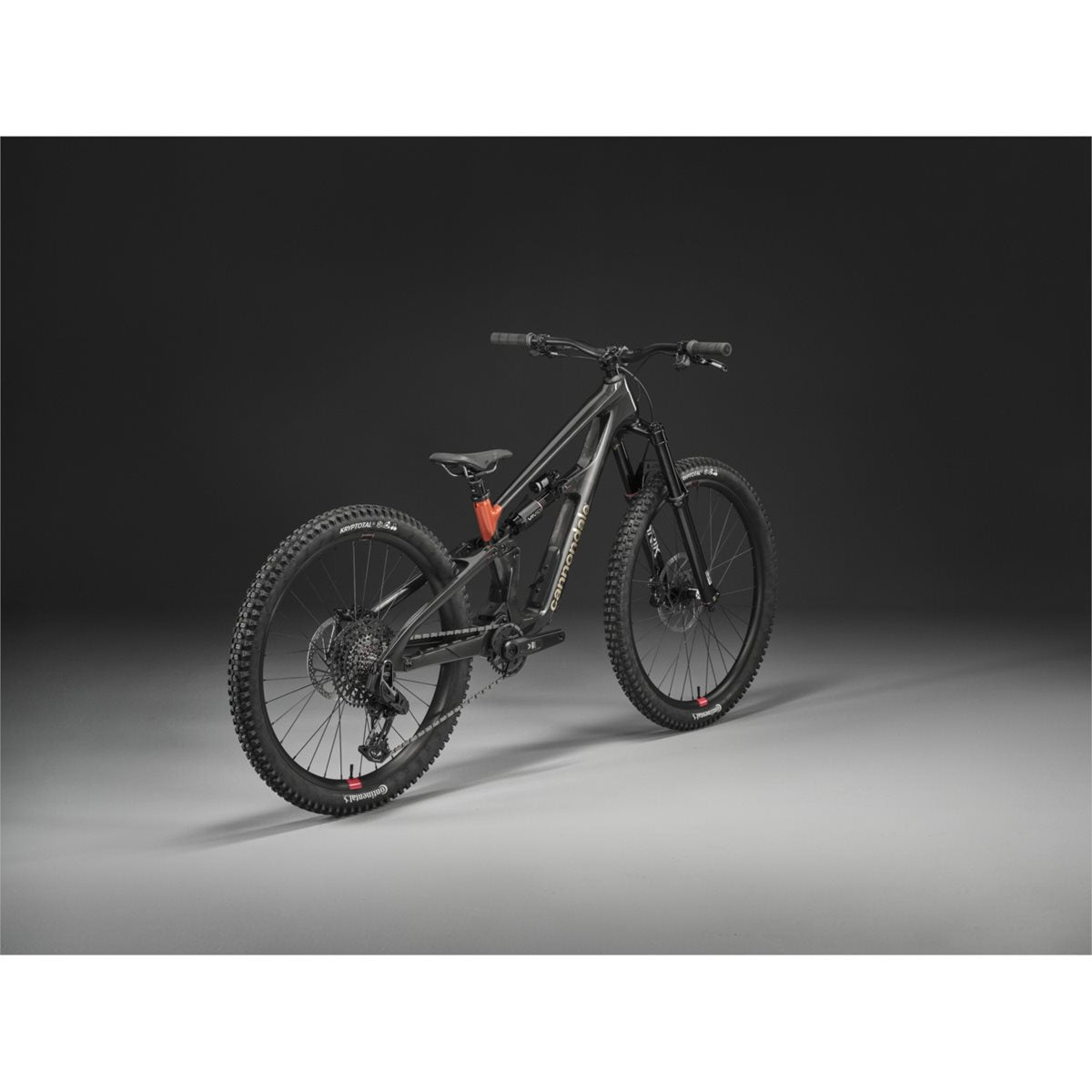 Heldämpad MTB Cannondale Bad Habit 1 Raw