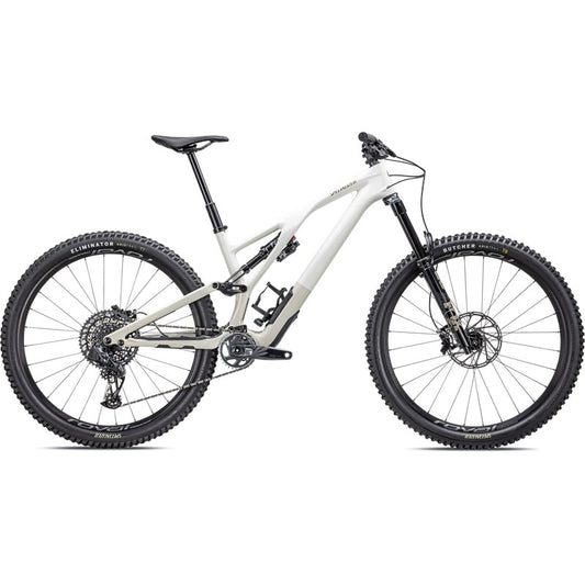 MTB Stumpjumper EvoExpert GLOSS BIRCH / TAUPE