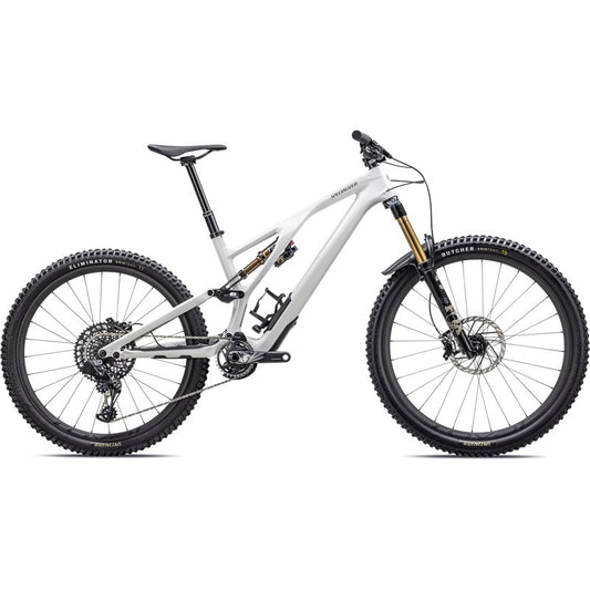 MTB Stumpjumper EvoPro GLOSS DUNE WHITE / TAUPE
