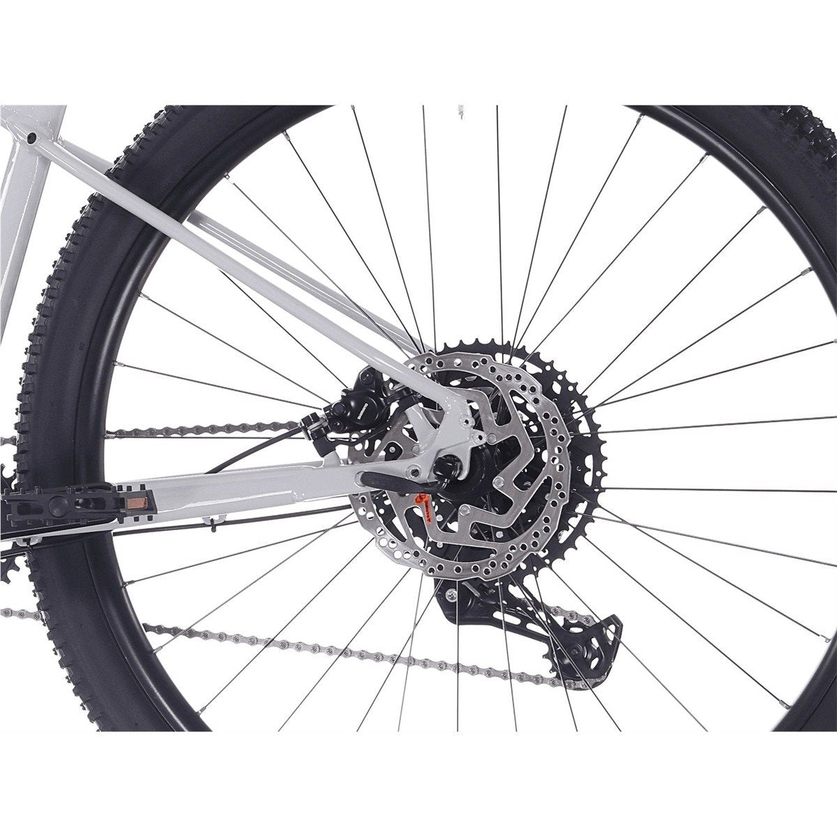 Rock Machine Blizz 30 Gloss Limerock Grey