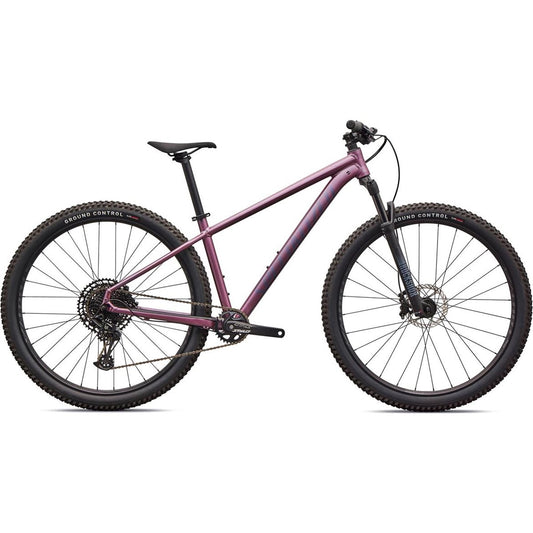 Specialized Mountainbike Rockhopper Expert 29 Lila