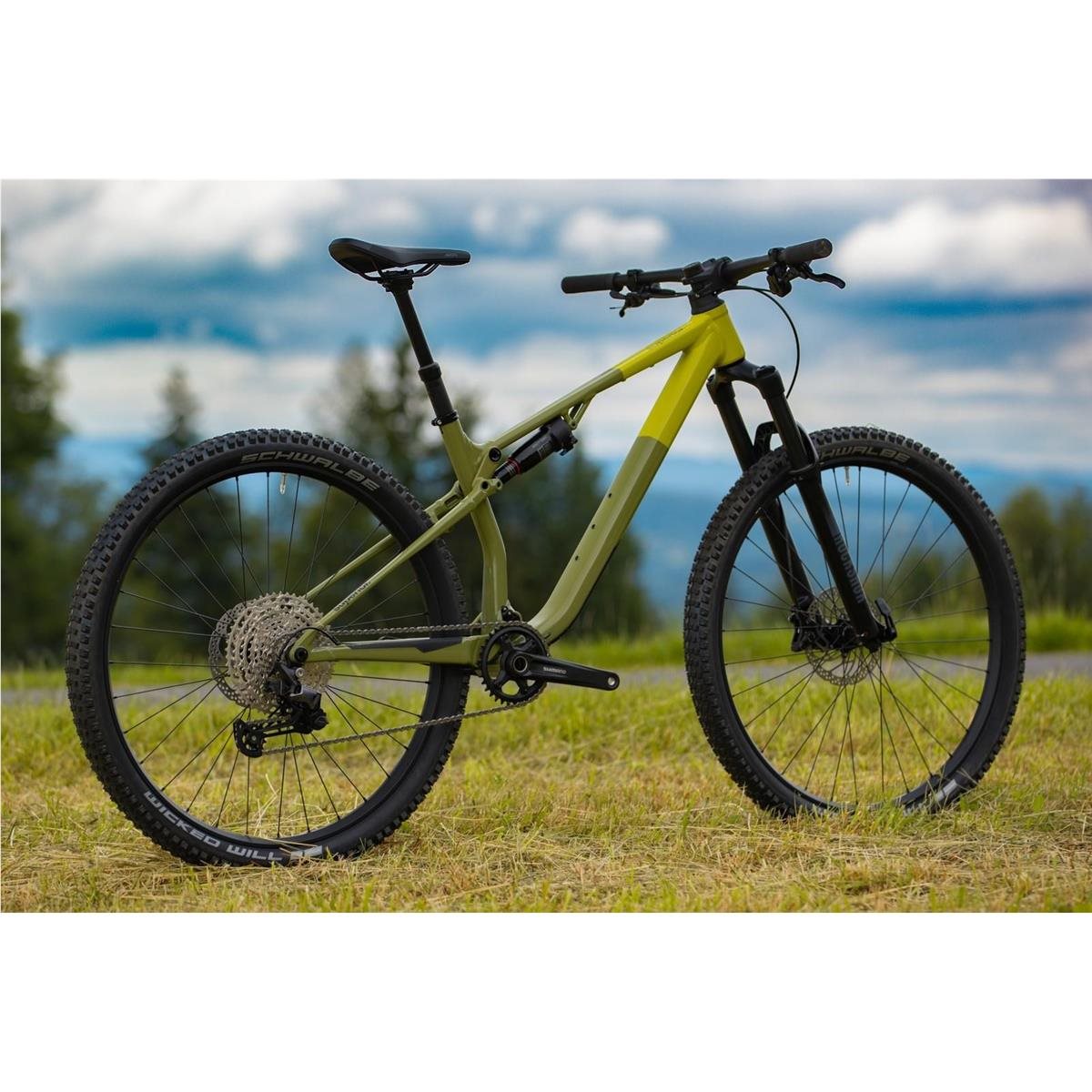 Superior XF 6.2 DC Gloss Olive