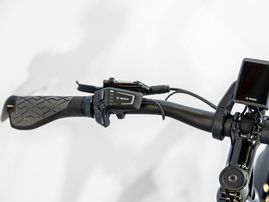 Trek Elcykel Dam Allant+ 6 Lowstep 545wh Galactic Grey