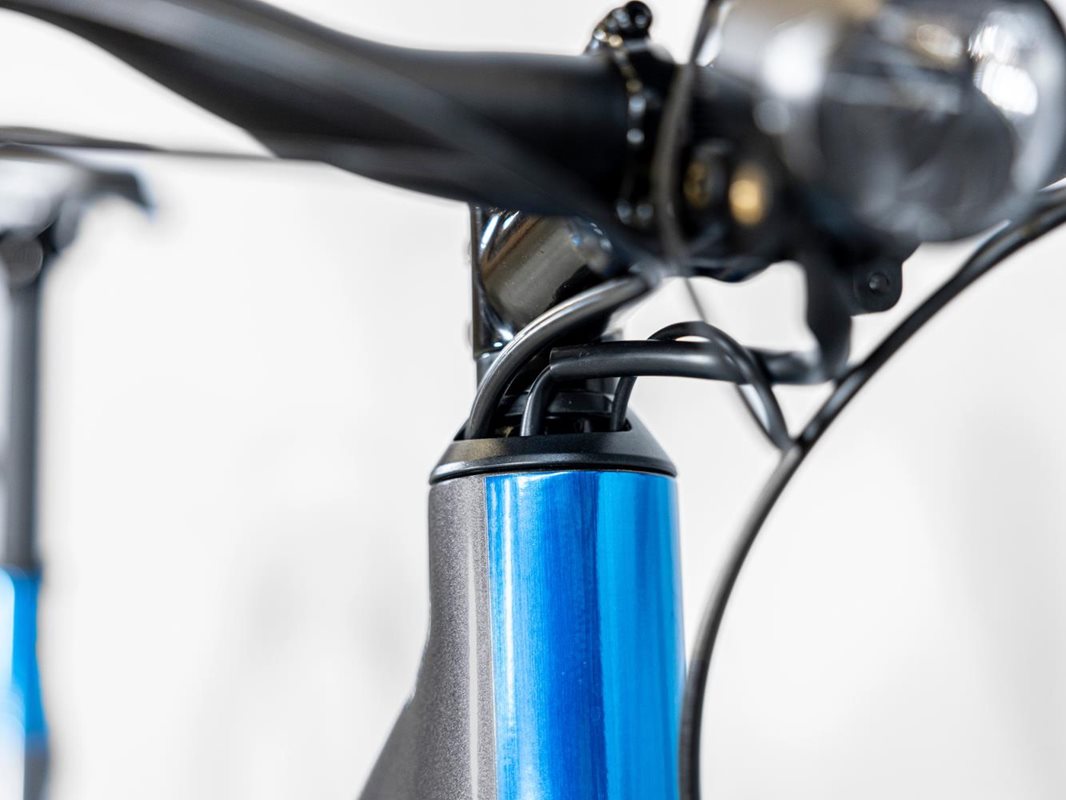 Trek Elcykel Dam Allant+ 6 Lowstep 545wh Galactic Grey