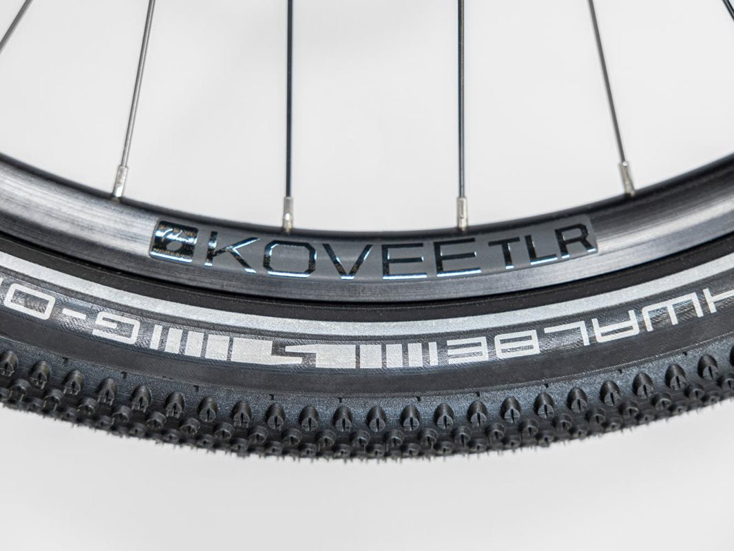 Trek Elcykel Dam Allant+ 6 Lowstep 545wh Galactic Grey