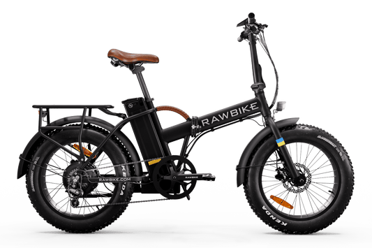 Elcykel RAWBIKE Classic Jet black
