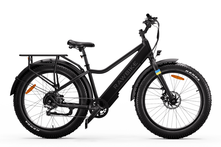 Rawbike Elcykel Urban Onyx