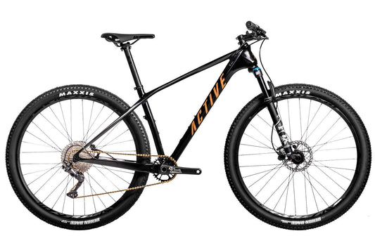 MTB ACTIVE MTB 2022 Fly Carbon 610 29" black/gold